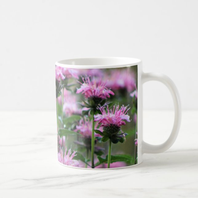 Rosa bibalsam, Monarda Kaffemugg (Höger)