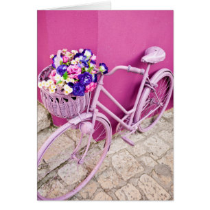 Rosa Bicycle OBS Kort