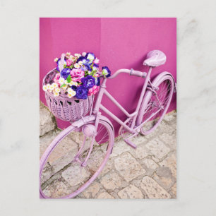 Rosa Bicycle Vykort