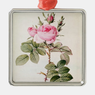 Rosa Bifera Officinalis, från 'Les ro Julgransprydnad Metall