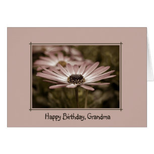 Rosa Birthday Daisy for Grandma Hälsningskort