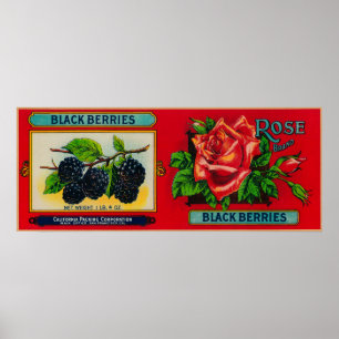 Rosa björnbäretikett poster