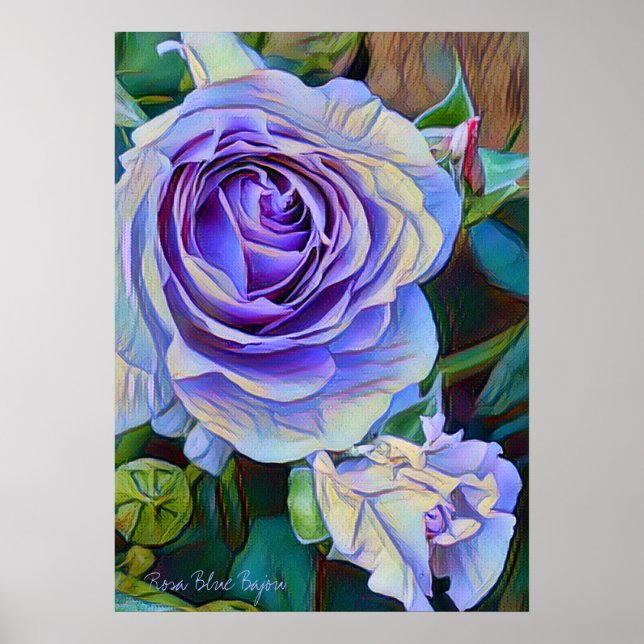 Rosa Blå Bajou [Affisch] Poster (Framsidan)