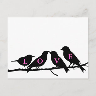Rosa Black and White Love birds Vykort