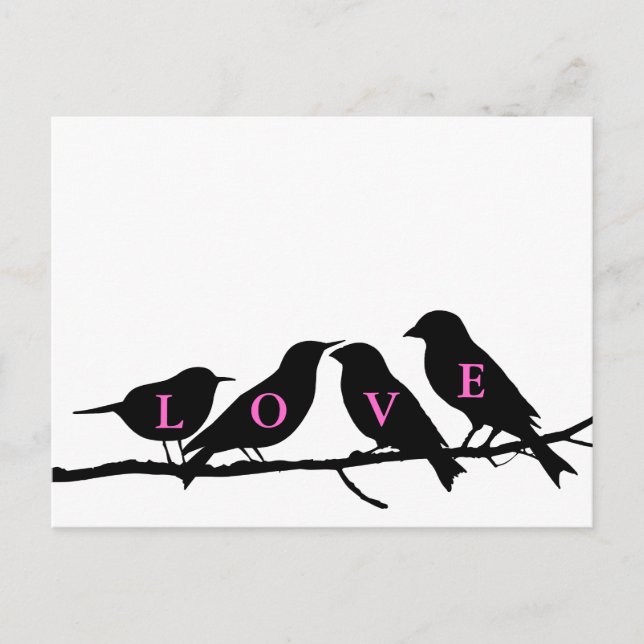 Rosa Black and White Love birds Vykort (Framsida)