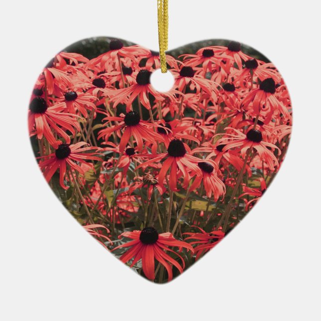 Rosa Black Eyed Susan Flowers Ornament (Framsidan)