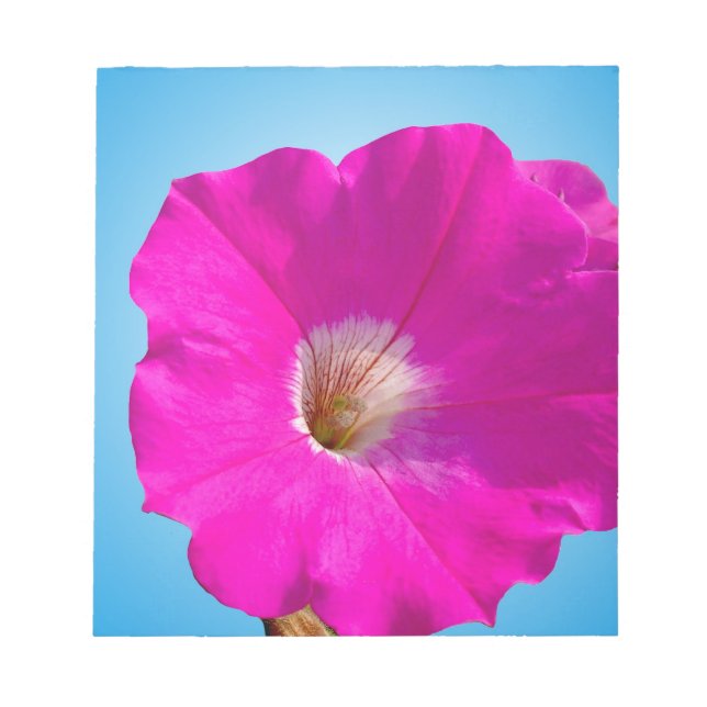 rosa bläckblomma i blå bakgrund. anteckningsblock (Framsida)