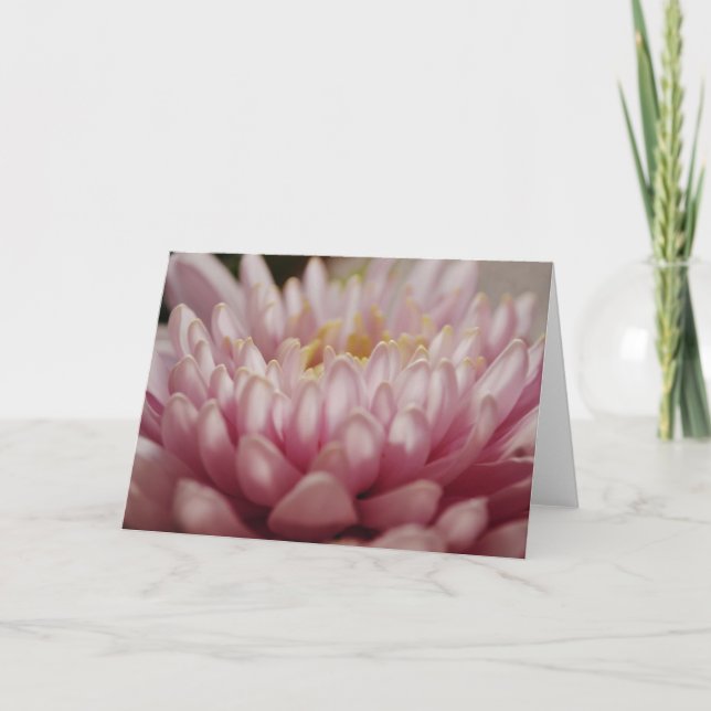 Rosa Blanka avslutande anteckningskort (Framsida)