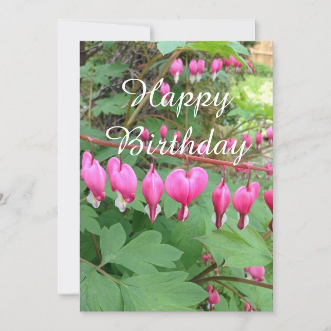 Rosa Bleeding Heart Photo Birthday - platta kort (Framsida)