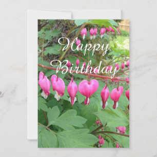 Rosa Bleeding Heart Photo Birthday - platta kort