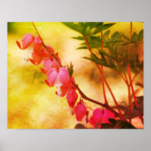 Rosa Bleeding Hearts Flowers Distress Art Poster