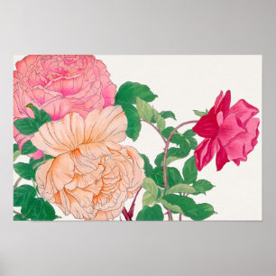 Rosa & blekorange rosblommor poster