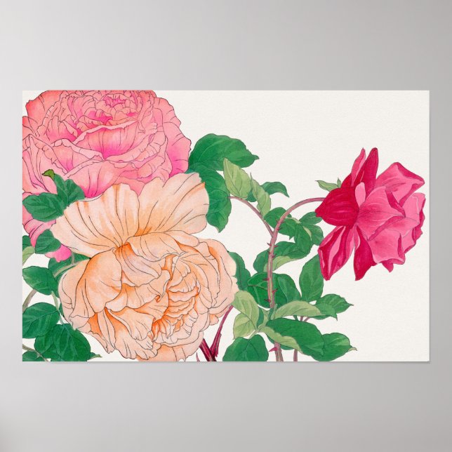 Rosa & blekorange rosblommor poster (Framsidan)