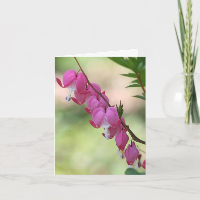Rosa Blödande Hjärtan Blomfotografering  Anteckningskort (Framsida)
