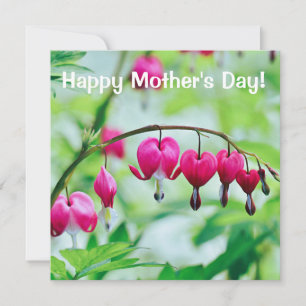 Rosa Blödning Hjärtat Florkort Mors dag
