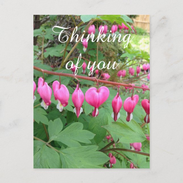 Rosa Blödning Hjärtfusk hos dig Vykort (Framsida)