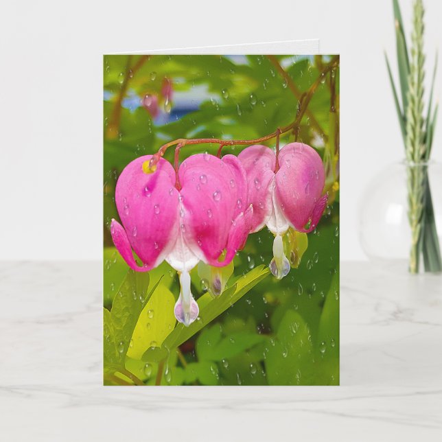 Rosa Blödningshjärnar med nederbörd Kort (Framsida)