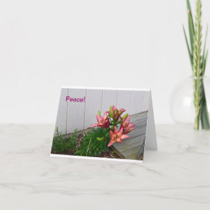 Rosa blom- notecard kort
