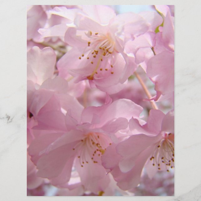 Rosa blomflygblad papper Anpassad Reklamblad (Framsidan)