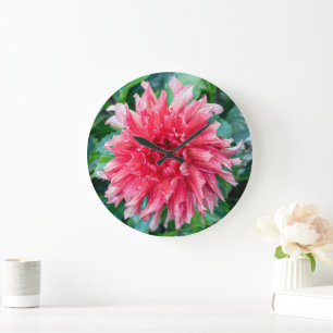 Rosa blomfotografering, kanadensisk Dahlia Stor Klocka
