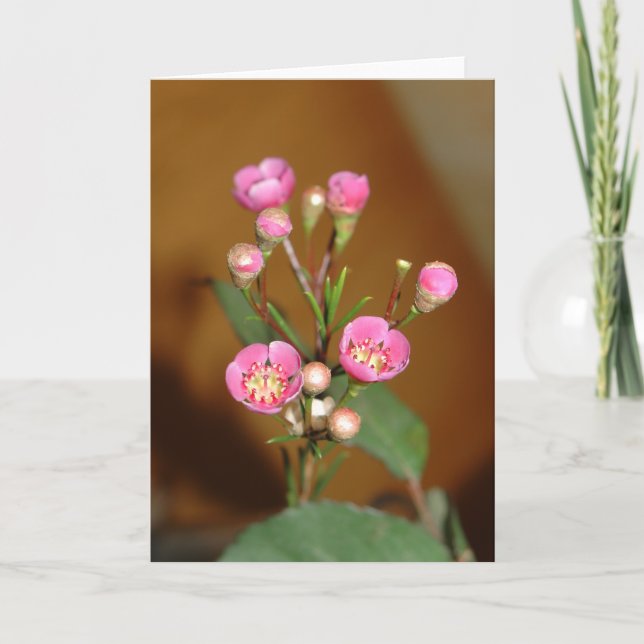 Rosa Blomhälsningskort Kort (Framsida)