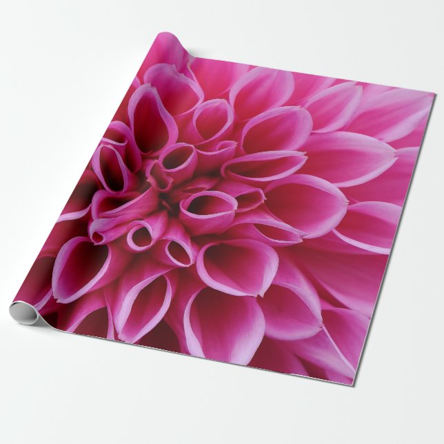 Rosa Blomklistrafigurering Papper Presentpapper (Utrullad)