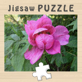 Rosa blomma blommar estetisk Foto - Pussel
