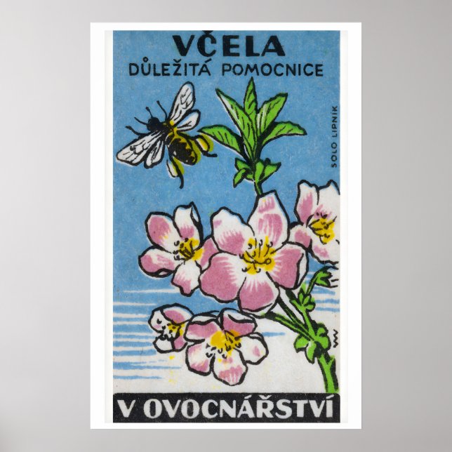Rosa blomma gul bee - Matchbox-utskrift - Tjeckisk Poster (Framsidan)