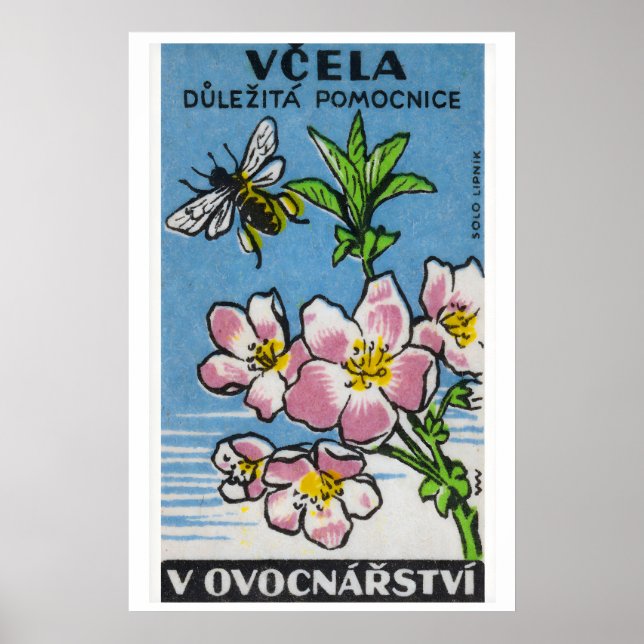 Rosa blomma gul bee - Matchbox-utskrift - Tjeckisk Poster (Framsidan)