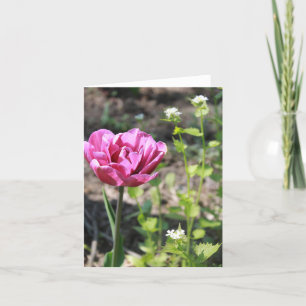 Rosa blomma i trädgården helgkort