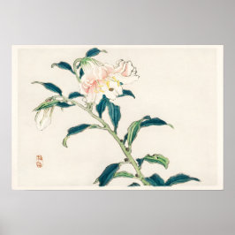 Rosa Blomma Poster