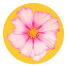 Rosa blomma
