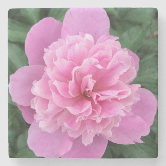 Rosa blomma stenunderlägg (Framsidan)