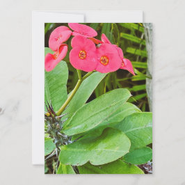 Rosa blomma tackkort tack kort