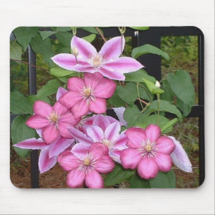Rosa blommamousepad för clematis AA Musmatta