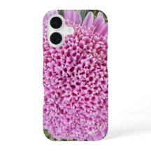 Rosa blommande aster botanisk iPhone 16-fodral