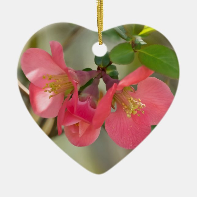 Rosa Blommande Kvittens Glöd Julgransprydnad Keramik (Framsidan)