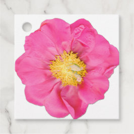 Rosa Blommande Peony Botaniska Fyrkantiga Förmånse Gåvor Etiketter