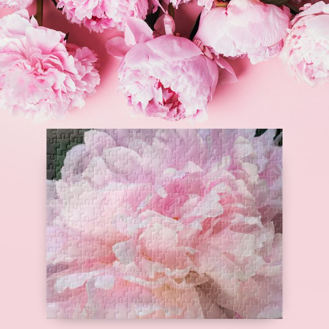Rosa Blommande Peony Pussel (Skapare uppladdad)