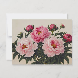 Rosa blommande pionblommor Bouquet Vykort