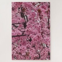 Rosa blommande vårträd