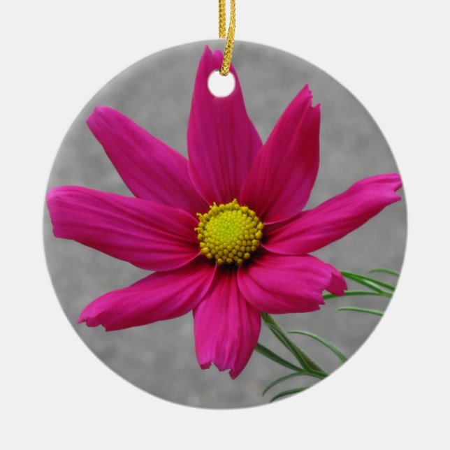 Rosa Blommans anpassningsbar, ornament (Framsidan)