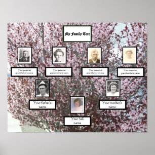 Rosa Blommar 3-Generation fotofamilj i Träd Poster