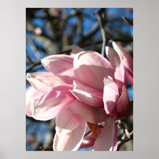 ROSA BLOMMAR 3 POSTER (Framsidan)