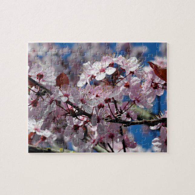 Rosa blommar av körsbär pussel (Horisontell)