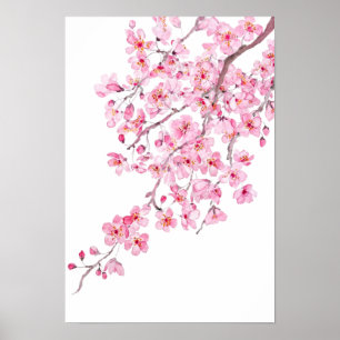 rosa blommar av körsbär, vattenfärg 2020 poster