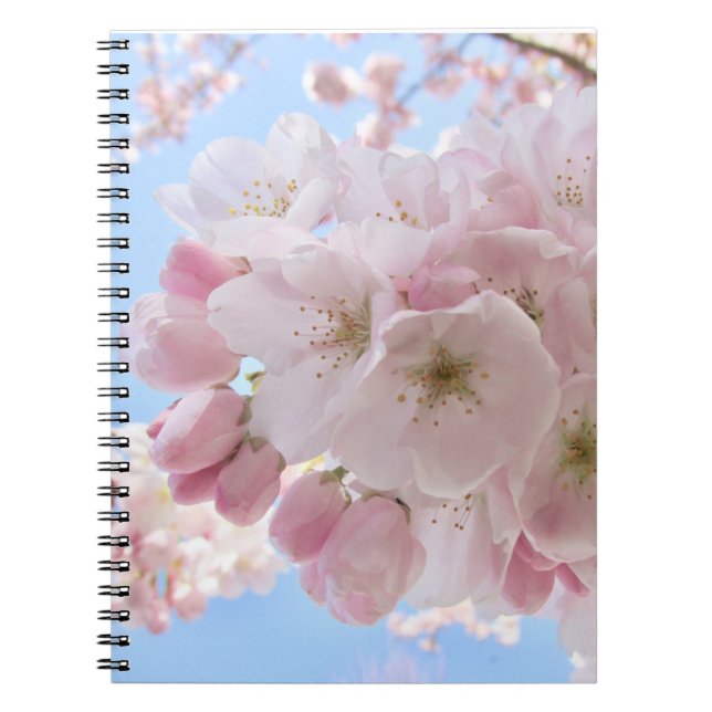 Rosa Blommar Blå himmel. Anteckningsbok (Framsidan)