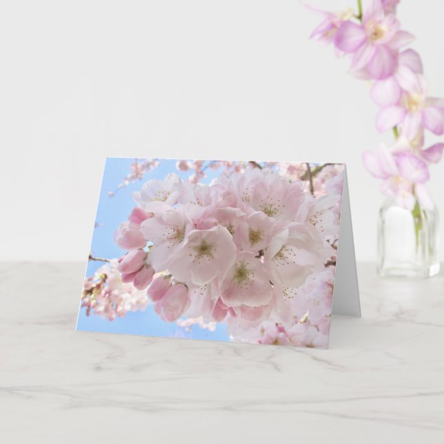Rosa Blommar Blå himmel Kort (Orkide)