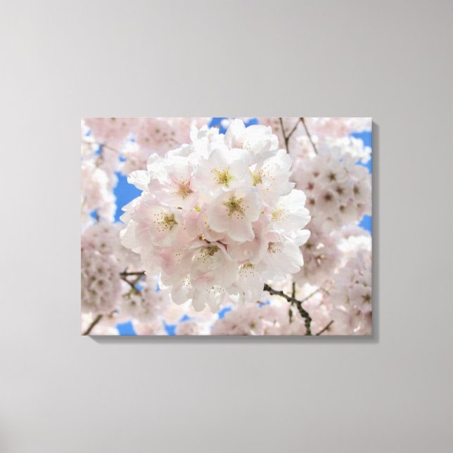 Rosa Blommar Bollar. Canvastryck (Framsida)