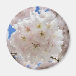 Rosa Blommar Bollar. Magnet